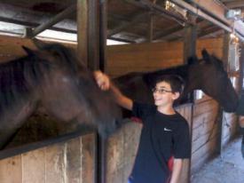 Mitzvah Project: Farm Animal Sanctuary