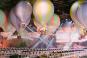 Mitzvah Market - Bar/Bat Mitzvah Planning Resource