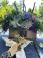 Mitzvah Market - Bar/Bat Mitzvah Planning Resource